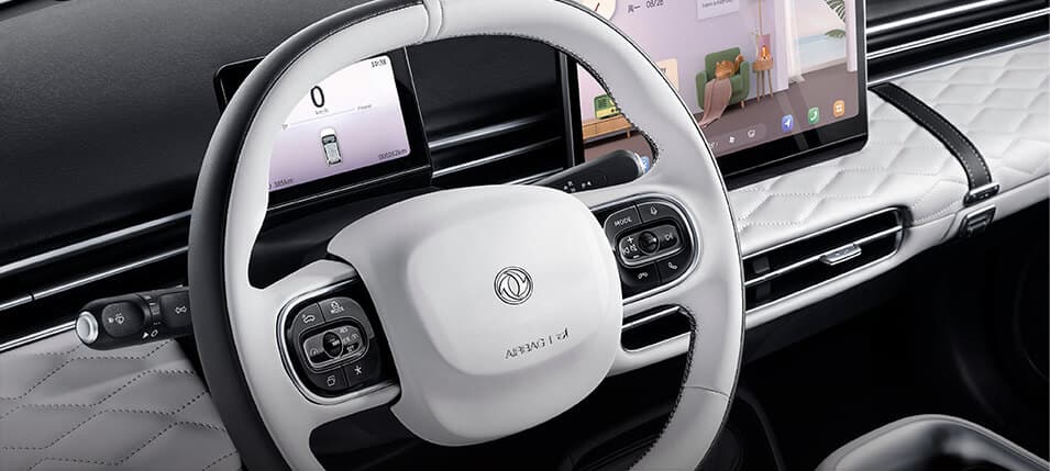 Multifunction Steering Wheel