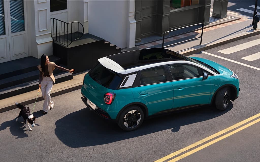 Panoramic Smart Safety System